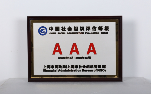 上海巨海成杰公益基金会2020年3A证书