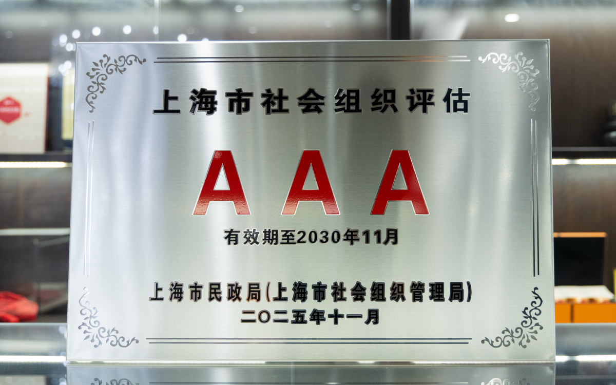 上海巨海成杰公益基金会2025年3A证书